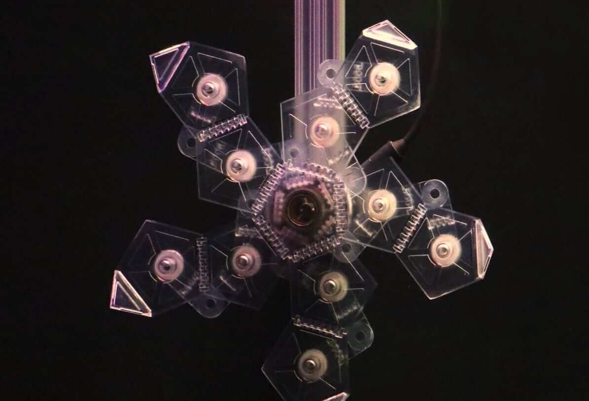 Прости, кальмар: этот робот может ловить хрупких морских существ, не причиняя им вреда. Фото.