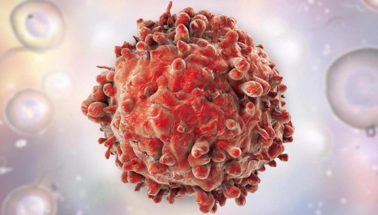 Бороться с раковыми клетками помогут…раковые клетки. Фото.