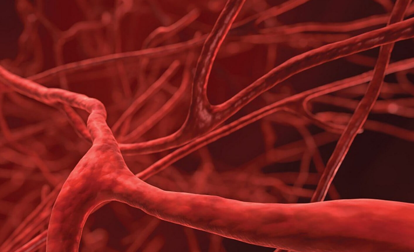 Крошечные роботы способны двигаться внутри кровеносных сосудов. Фото.