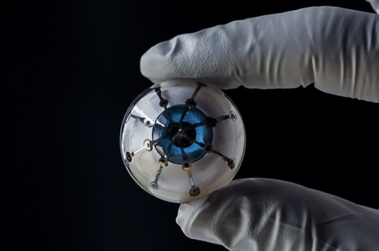 С помощью 3D-печати ученые создали бионический глаз. Фото.