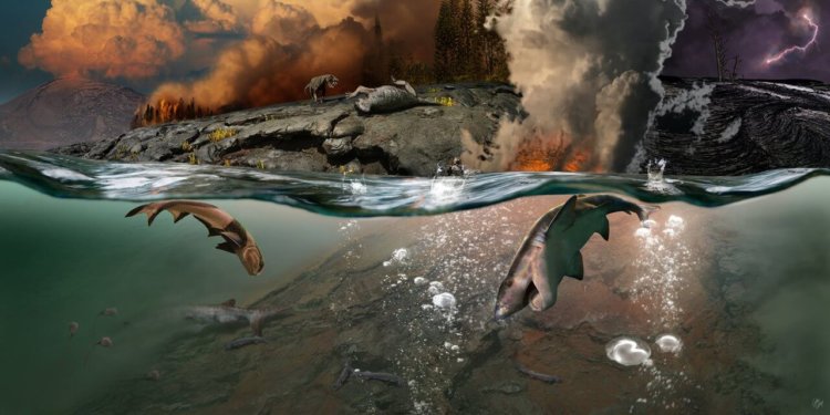 Ученые предложили еще одно объяснение самому массовому вымиранию в истории Земли. Фото.