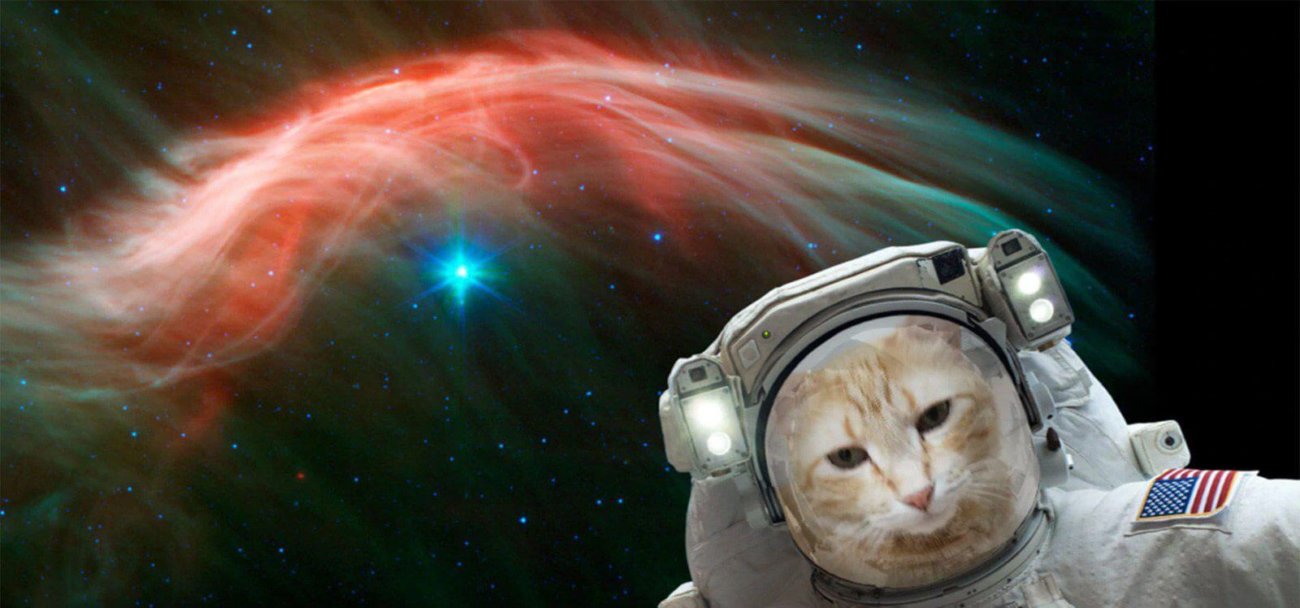 Новое приложение от NASA позволит сделать селфи на фоне дальнего космоса. Фото.