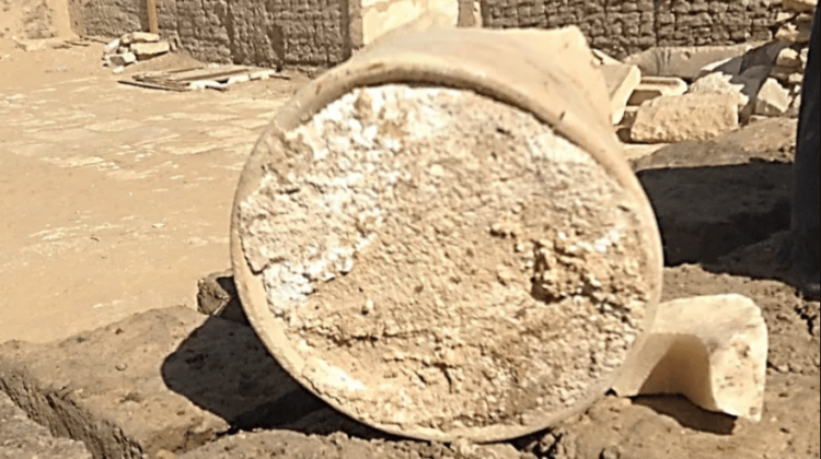 Самый древний в мире сыр, обнаруженный в древней гробнице, оказался смертельно опасен. Фото.