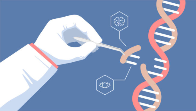 С помощью редактора генома CRISPR удалось вылечить мышечную дистрофию. Фото.