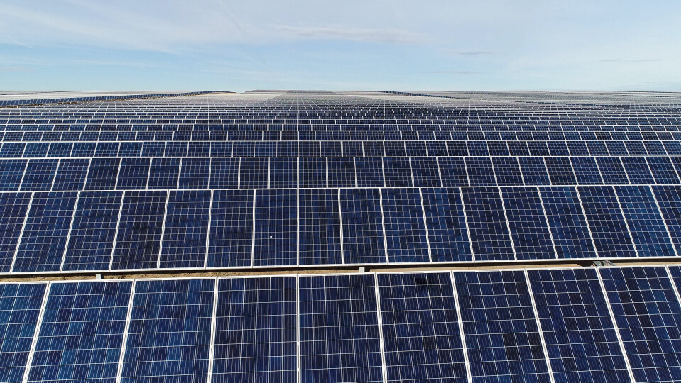 Facebook обещает на 100 процентов стать «зеленой» к 2020 году. Фото.