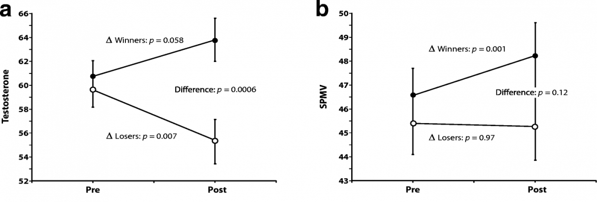 Вера в победу увеличивает количество тестостерона и влечение к противоположному полу. Фото.