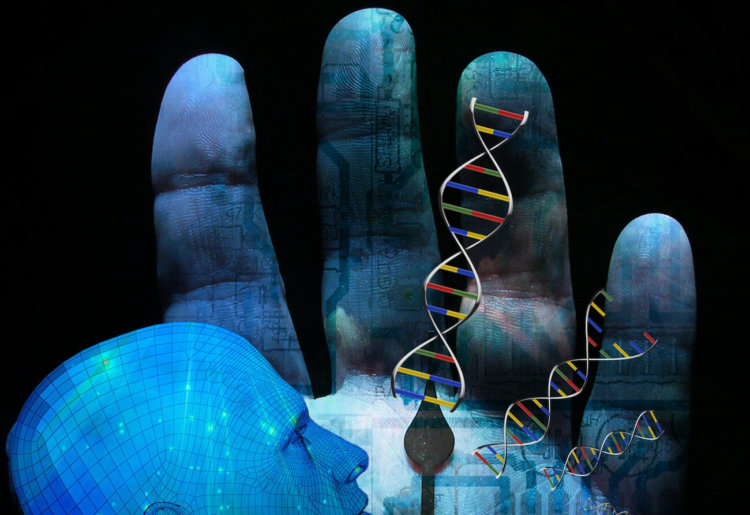 20 процентов человеческого генома оказались бесполезны. Как такое возможно? Фото.