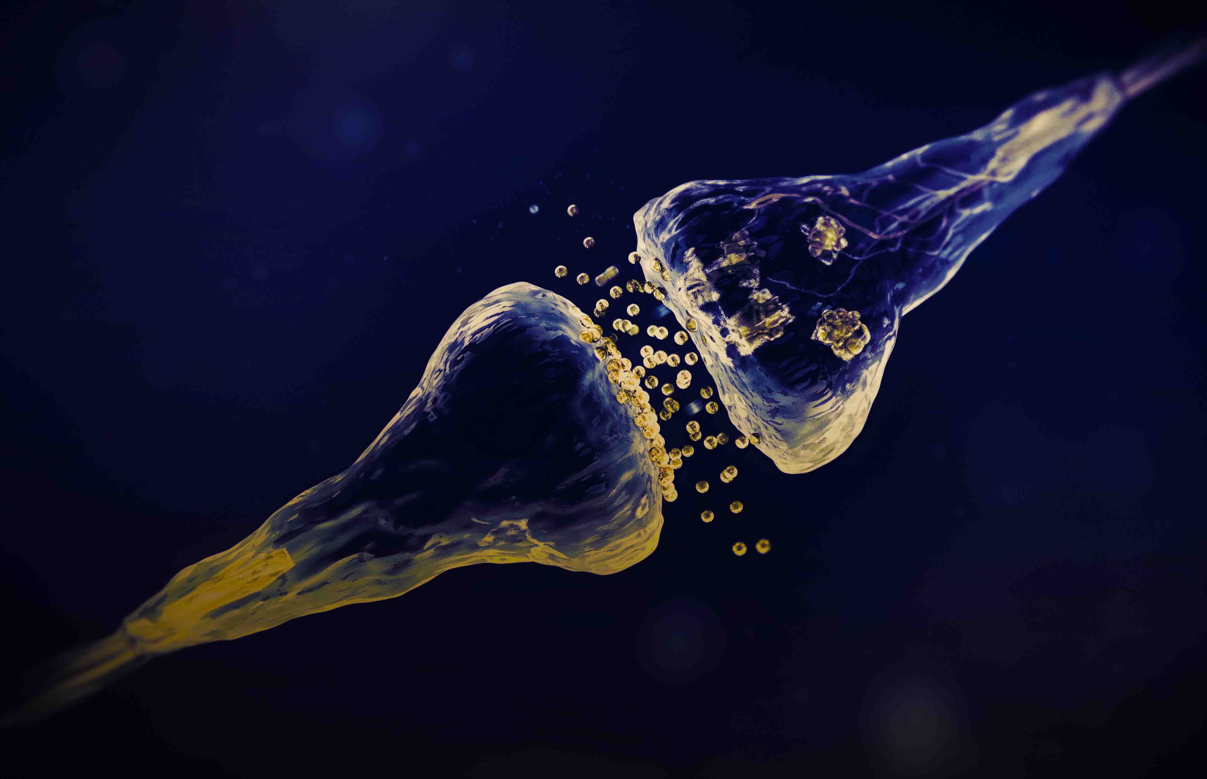 Искусственные синапсы имитируют функцию человеческого мозга. Искусственные синапсы имитируют функцию человеческого мозга. Фото.