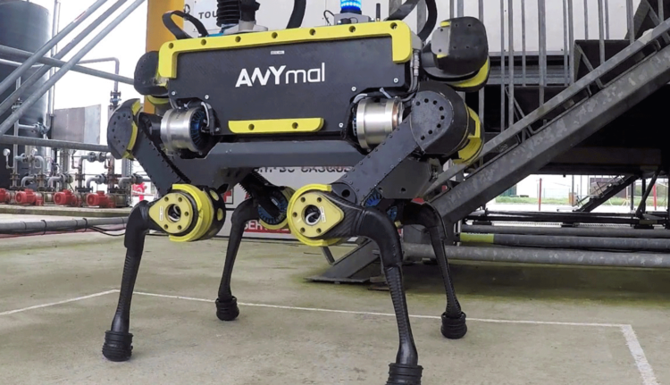 Видео: робот ANYmal выполняет задачи не хуже, чем SpotMini. Фото.