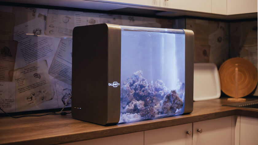 Bluenero: первый «умный» аквариум.. Фото.