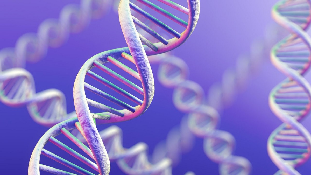 Какая форма у ДНК. Двойная спираль — важное открытие для ДНК. Фото.