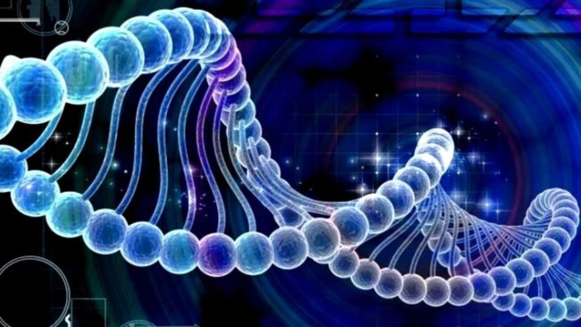 «Мусорная» ДНК может спровоцировать наркотическую зависимость. Фото.
