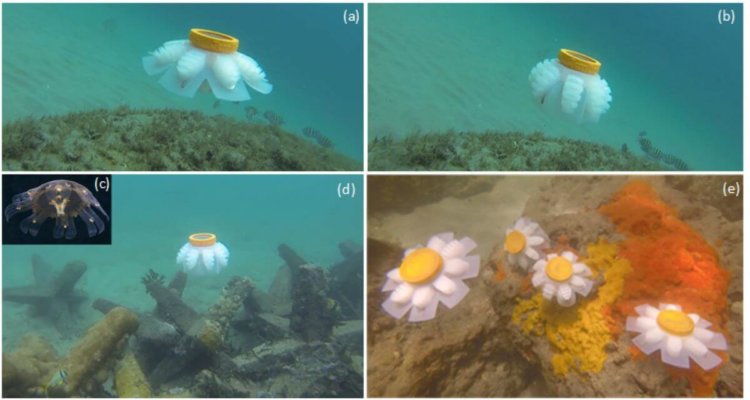 Роботы-медузы будут исследовать морские глубины. Фото.