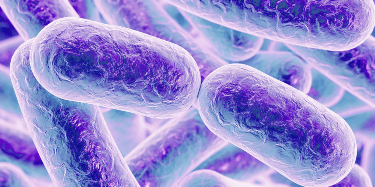 Бактериальный белок мимикрирует под ДНК, чтобы прорвать оборону клетки. Фото.