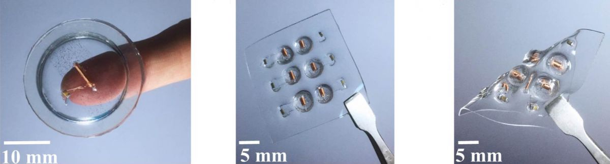 Представлена электронная кожа, улавливающая даже дуновение ветра.. Фото.