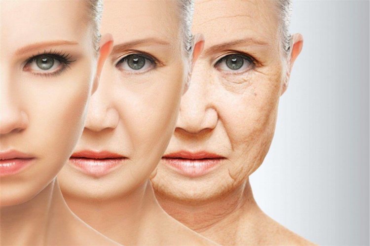 Обнаружены гены, которые играют ключевую роль в процессах старения. Фото.