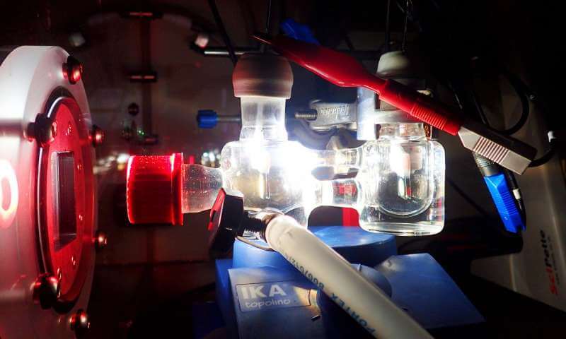 Процесс полу-искусственного фотосинтеза поможет добыть энергию из солнечного света. Фото.