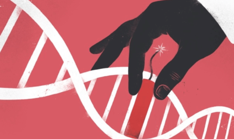 Безопасен ли CRISPR на 100 процентов? Ученые говорят, что нет, но предлагают пути решения. Фото.