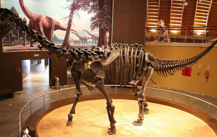 В ЮАР нашли останки одного из самых крупных динозавров Юрского периода. Фото.
