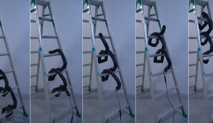 Робот-змея научился взбираться по лестнице. Фото.