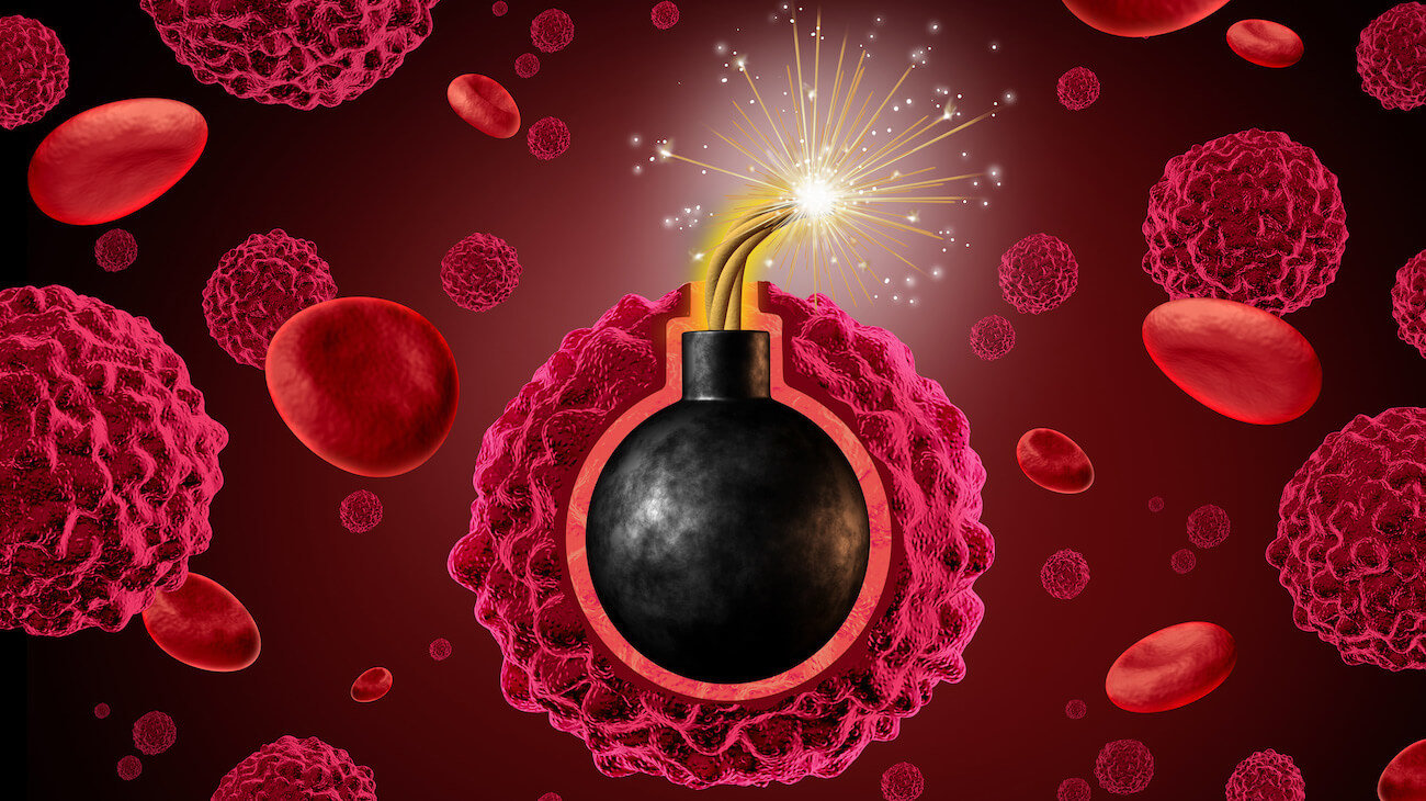 Самый смертоносный убийца рака имеется в каждой нашей клетке. Фото.