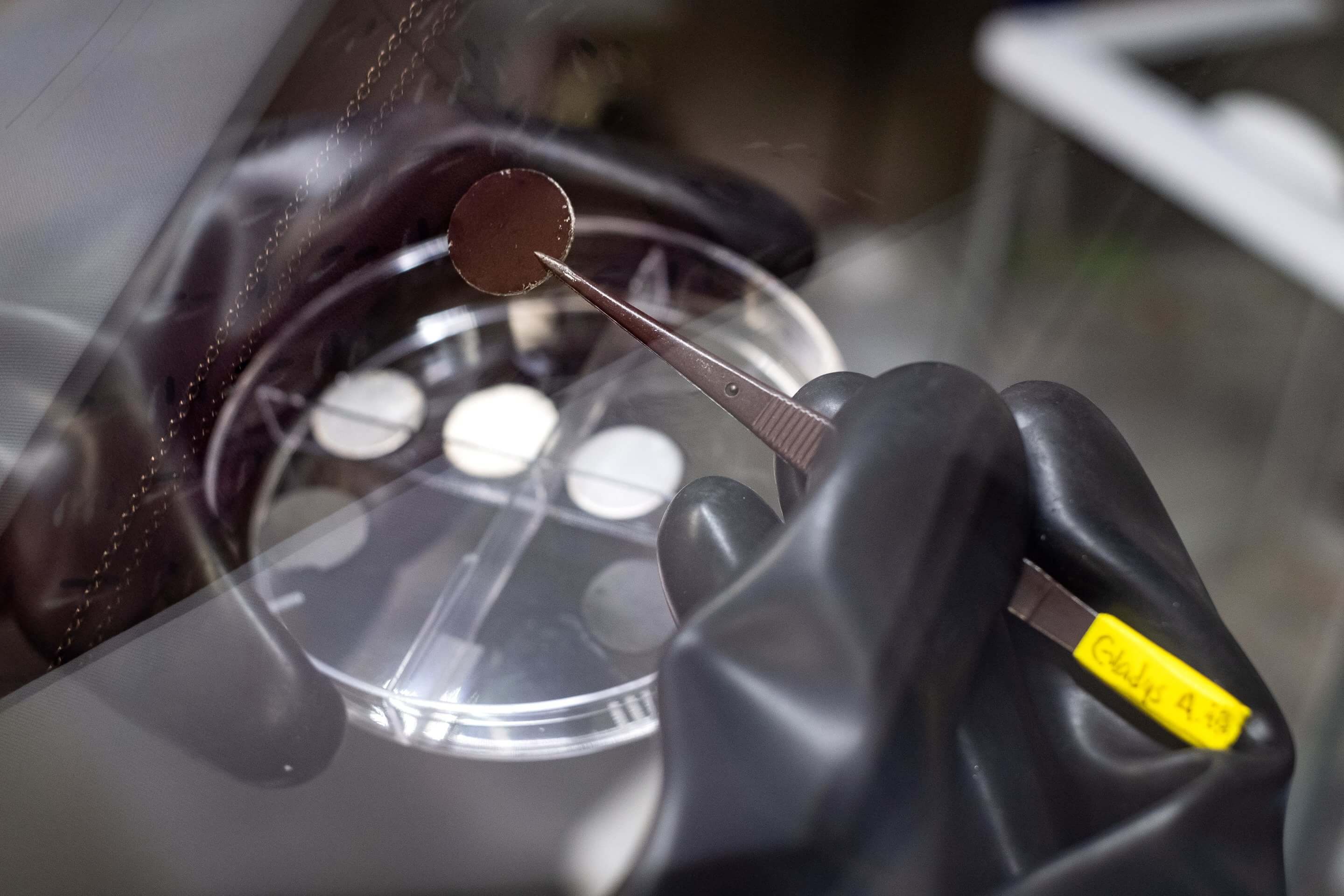 Нанотрубки подарят нам батареи получше. Нанотрубки подарят нам батареи получше. Фото.