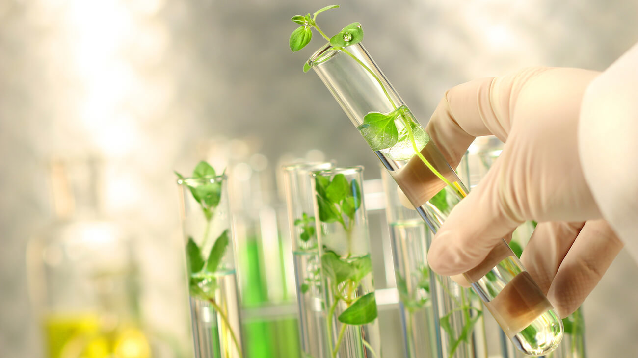 Биологи нашли способ создавать растения, способные выжить на других планетах.. Фото.