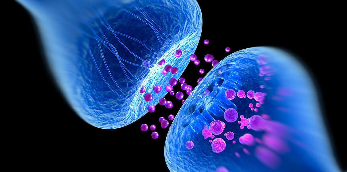 Зачем нужно тренировать мозг.. Фото.