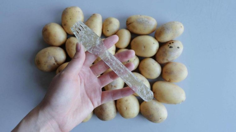 Разработан биоразлагаемый «пластик» из… картофеля. Фото.