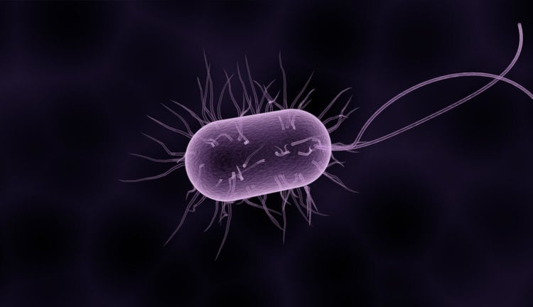 На МКС найдены бактерии, которым не страшны антибиотики. Фото.