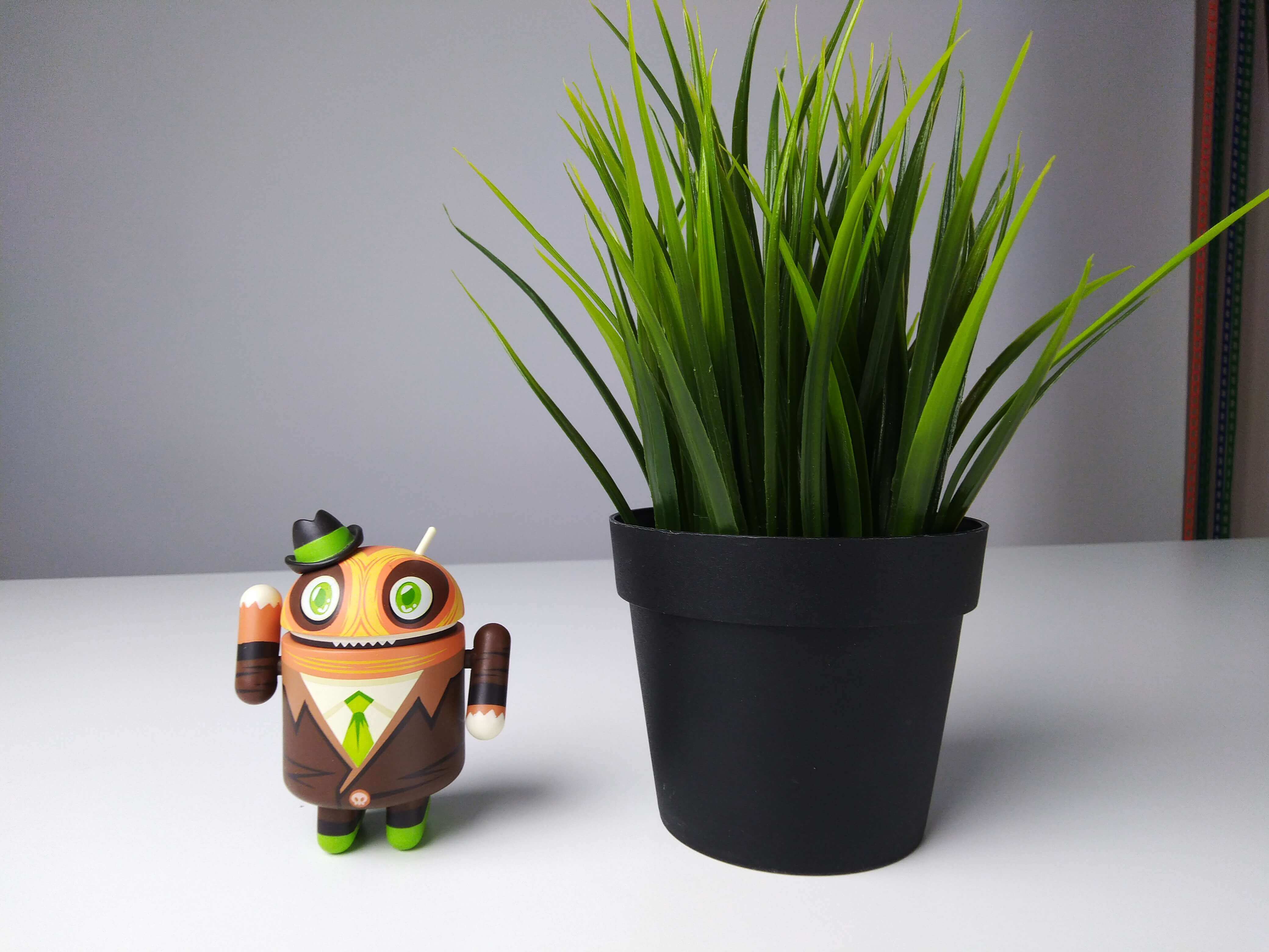 Именно таким должен быть хороший бюджетный смартфон. Фото.