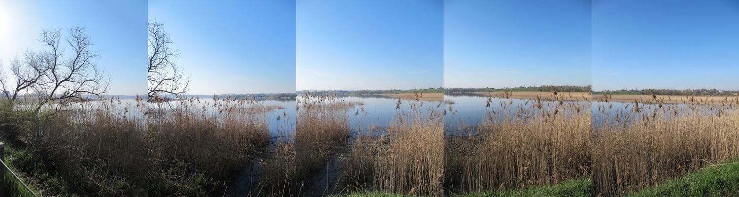 Что делать, если красивый вид не умещается в кадре?. Следите за балансом.. Фото.