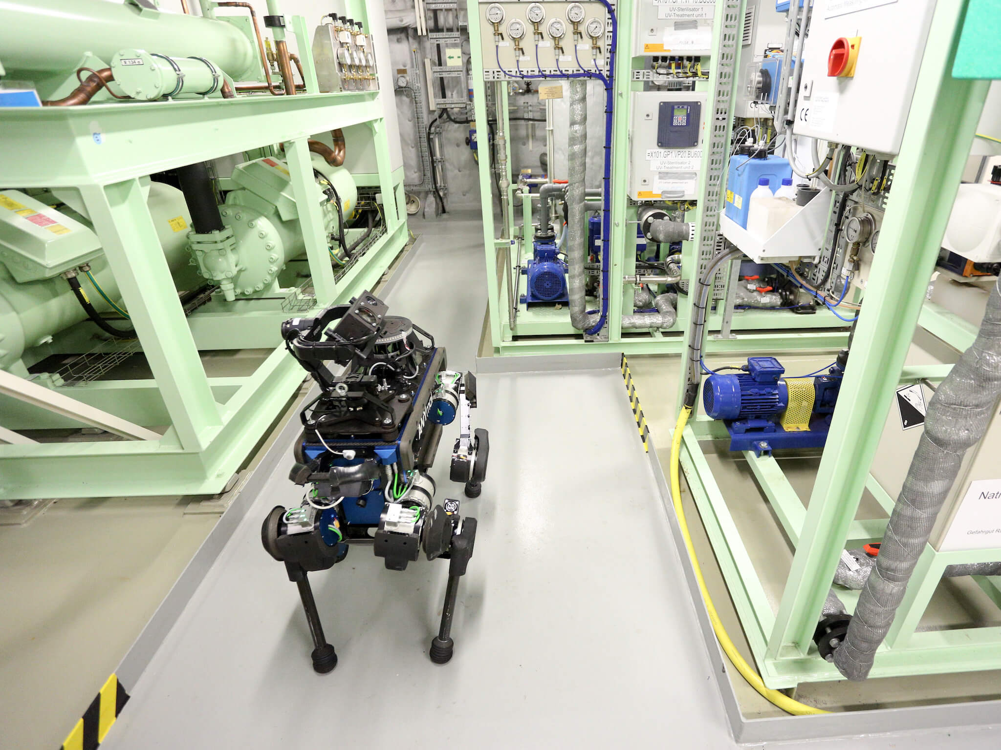 Подошел, принес, пошел за новым. Фото.