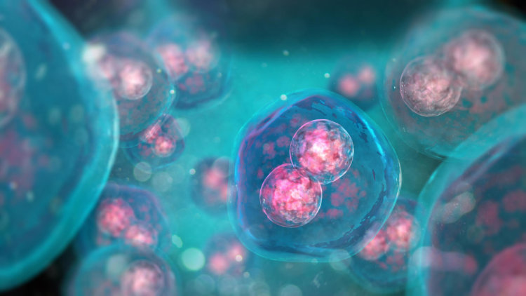 Биологи создали самые совершенные искусственные клетки. Фото.