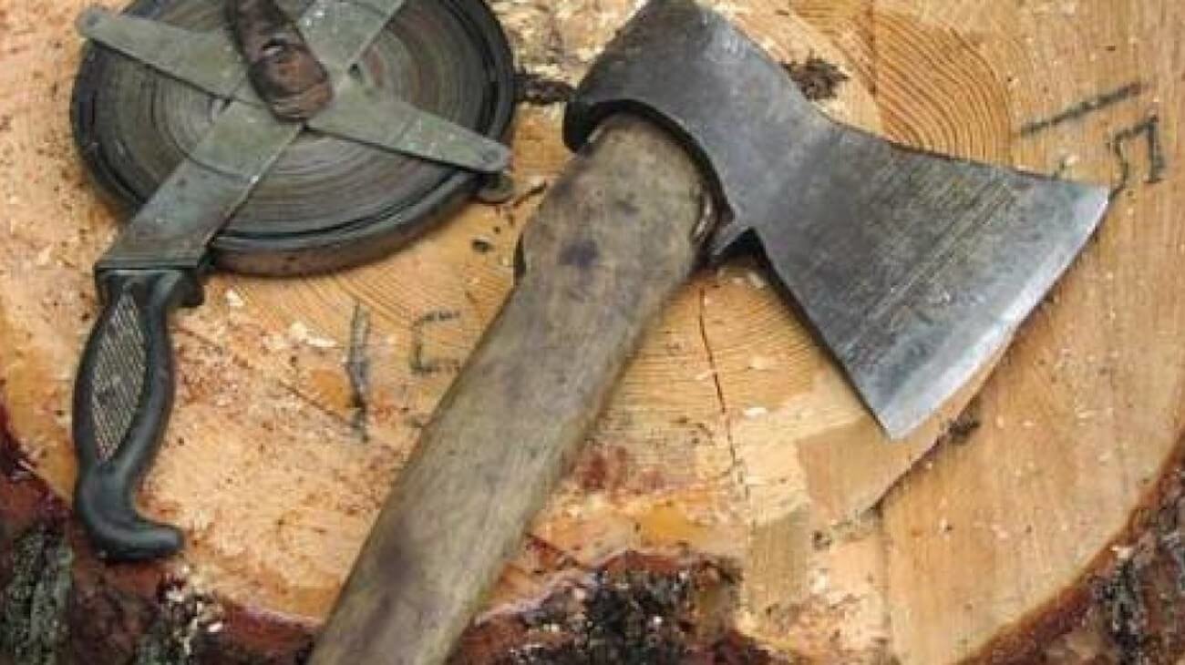 «Росэлектроника» защитит лес от незаконной вырубки при помощи RFID-меток. Фото.