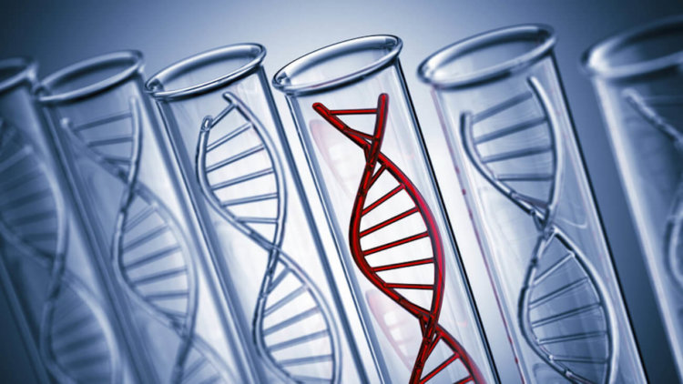 «Мусорная» ДНК оказалась эффективна в борьбе с раком. Фото.
