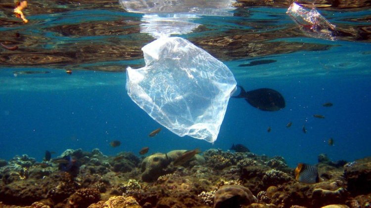 Создан биоразлагаемый пластик, при производстве которого вообще нет отходов. Фото.