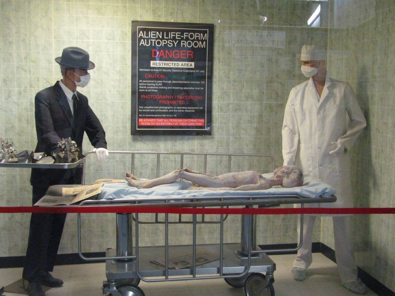 Инопланетянин или муляж? Думаю, не стоит отвечать. Фото.