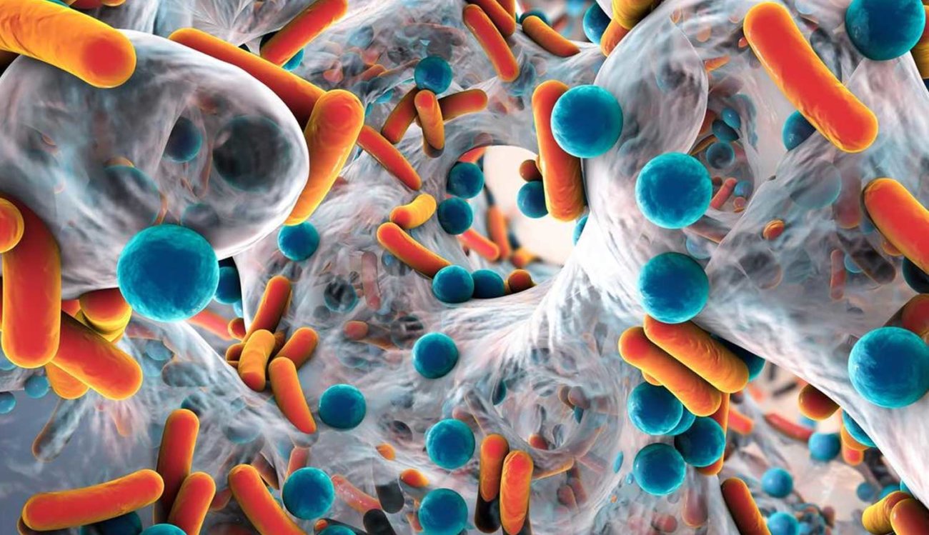 Новый ультразвук позволил услышать движения бактерий. Фото.