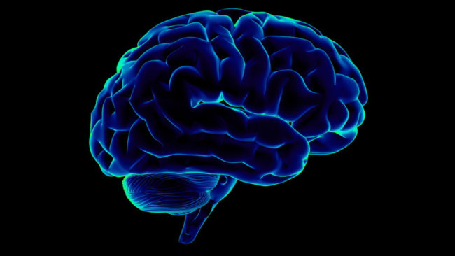 Нейробиологи обучили нейросеть переводить сигналы мозга в членораздельную речь. Фото.