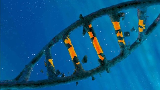 CRISPR стал мощнее, благодаря «выключателю». Фото.
