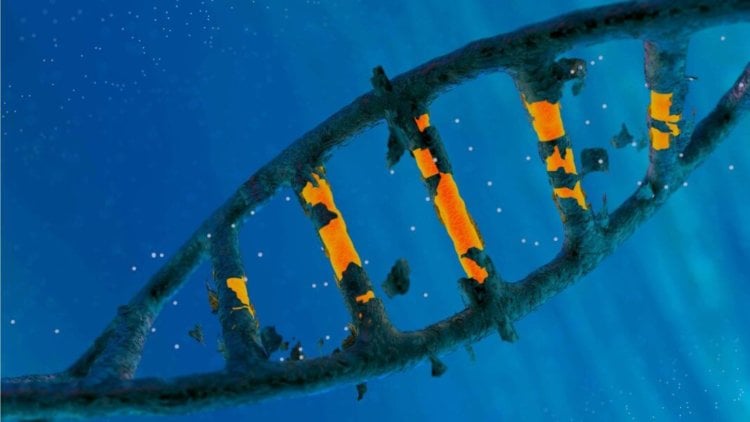 CRISPR стал мощнее, благодаря «выключателю». Освободим цепочку ДНК от оков. Фото.