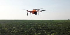 Искусственный интеллект и дроны позволят следить за фермами на микроуровне. Фото.