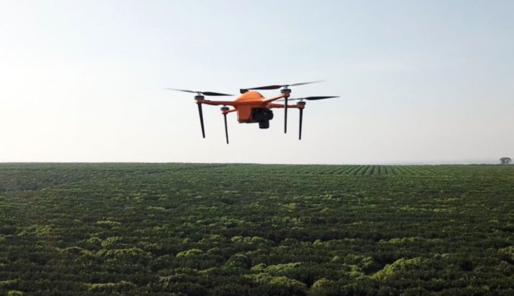 Искусственный интеллект и дроны позволят следить за фермами на микроуровне. Фото.