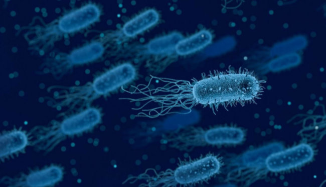 Учёные научились искать бактерии генерирующие электричество. Фото.