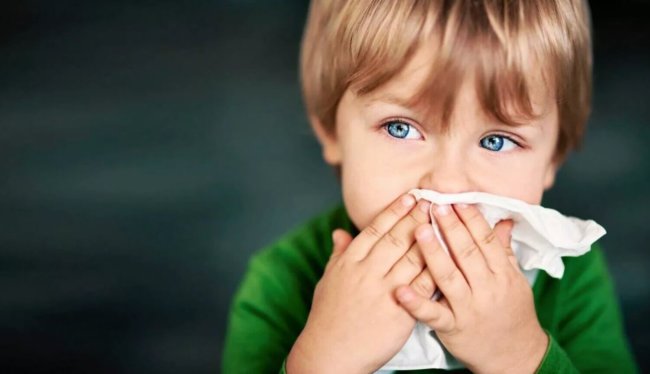 Бактерии в носу способны защитить от гриппа. Фото.