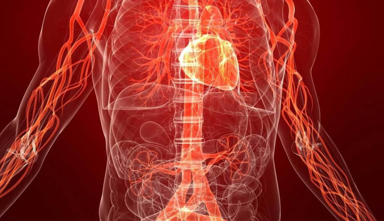 Организм научился самостоятельно лечить диабет, но есть одна проблема. Фото.