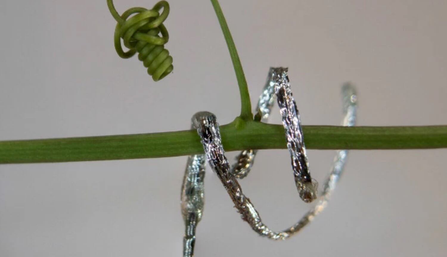 Робот-растение