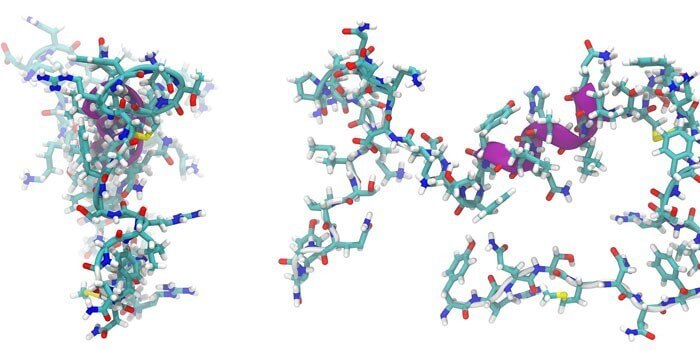 Перспективы биорегуляторных пептидов? Как долго разрабатываются новые препараты? Химическая цепочка пептидов. Фото.