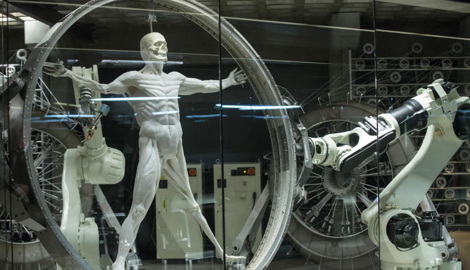 Создан материал, повторяющий главную особенность человеческих мышц. Фото.